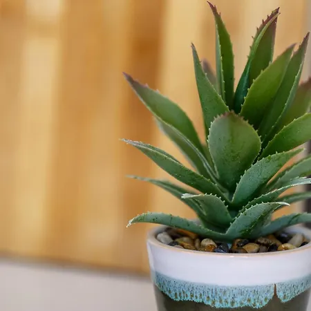 Modern Centre In Bradford (West Yorkshire)