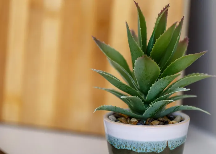 Modern Centre In Bradford (West Yorkshire)